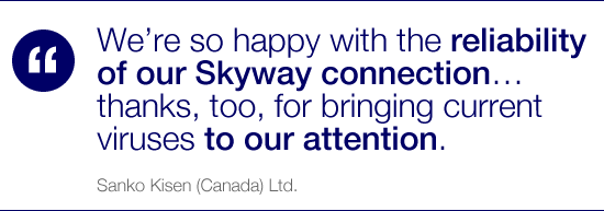 We’re so happy with the reliability of our Skyway connection… thanks, too, for bringing current viruses to our attention.